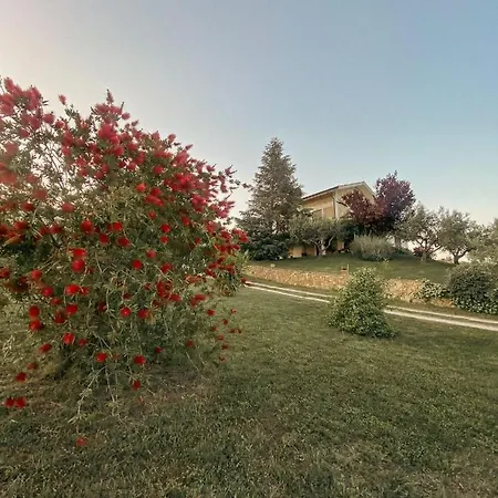 Le Coccinelle
