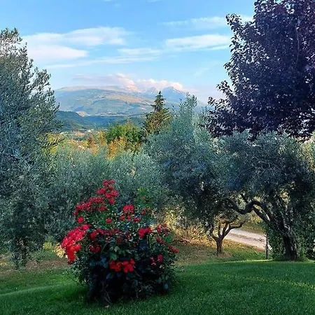 Bed & Breakfast Le Coccinelle Rosciano (Abruzzo)