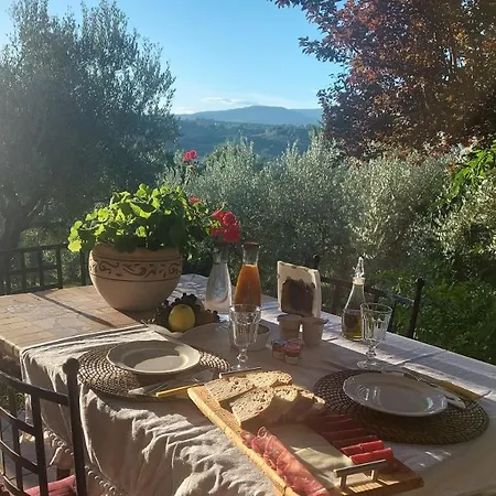 Le Coccinelle *