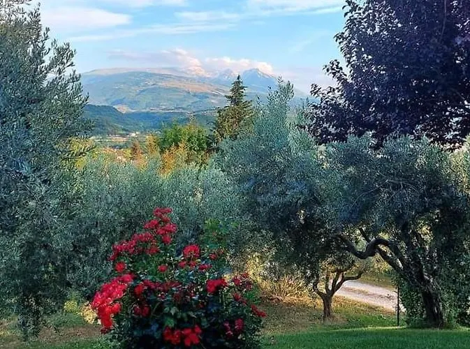 Le Coccinelle Rosciano (Abruzzo)